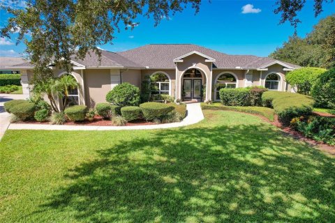 Villa ou maison à vendre à Valrico, Floride: 4 chambres, 244.61 m2 № 1910550 - photo 4