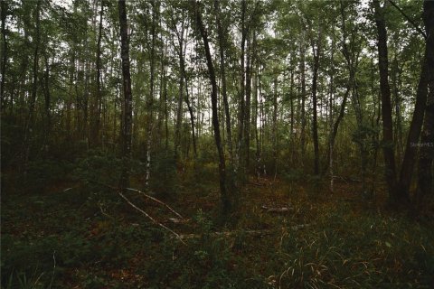 Купить земельный участок в Глен Сент-Мери, Флорида № 2157516 - фото 17
