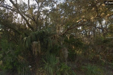 Land in Homosassa, Florida № 2161510 - photo 2