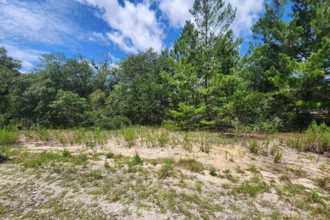 Land in Dunnellon, Florida № 2224399