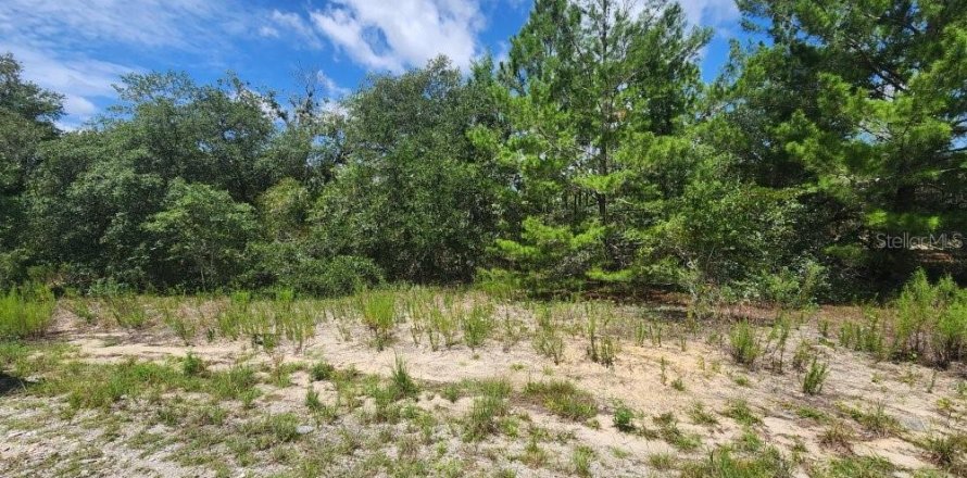 Land in Dunnellon, Florida № 2224399