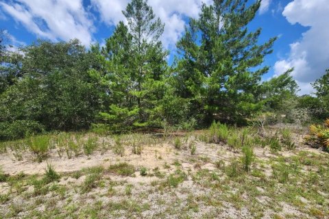 Land in Dunnellon, Florida № 2224399 - photo 2