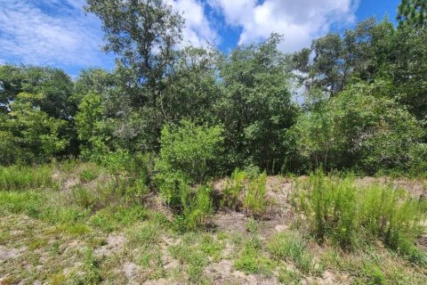 Land in Dunnellon, Florida № 2224399 - photo 3