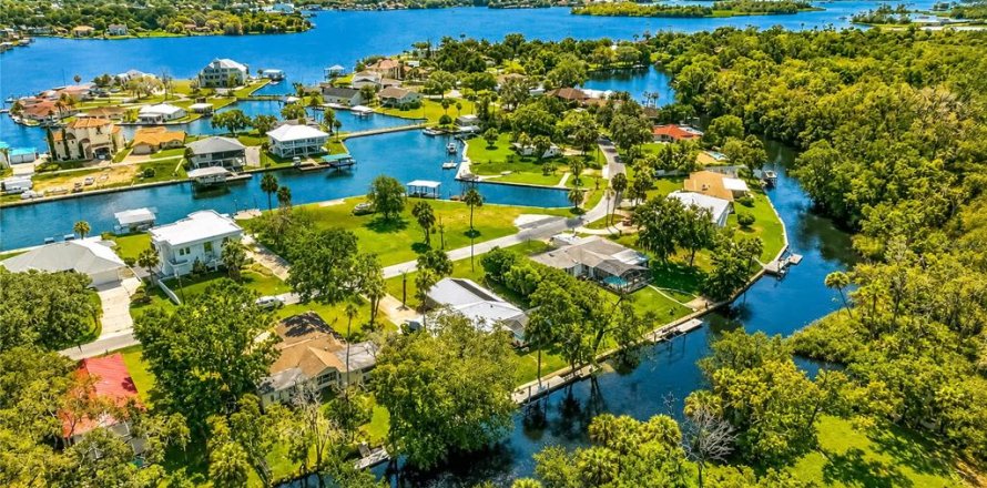 House in Crystal River, Florida 4 bedrooms, 194.63 sq.m. № 2297199