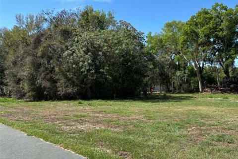 Immobilier commercial à vendre à Groveland, Floride № 2155389 - photo 4
