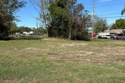 Immobilier commercial à vendre à Groveland, Floride № 2155389 - photo 6
