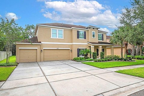 House in Fish Hawk, Florida 5 bedrooms, 330.73 sq.m. № 1899275 - photo 1