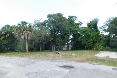 Land in Hudson, Florida № 216998 - photo 3