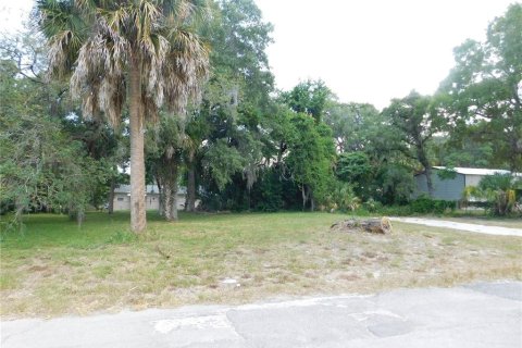 Land in Hudson, Florida № 216998 - photo 2