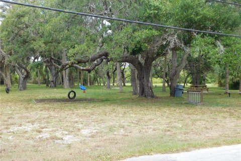 Land in Hudson, Florida № 216998 - photo 12