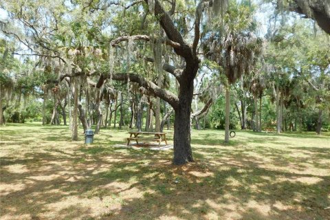 Land in Hudson, Florida № 216998 - photo 18