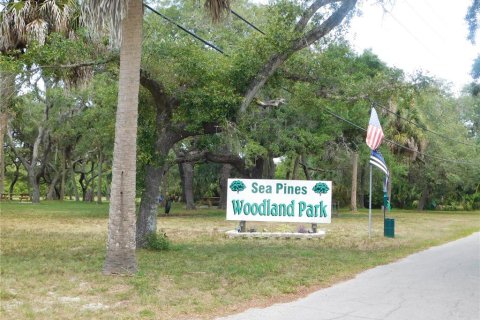 Land in Hudson, Florida № 216998 - photo 10