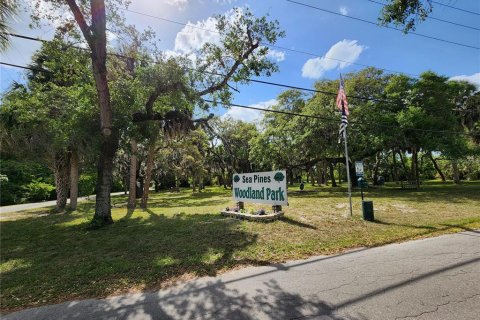 Land in Hudson, Florida № 216998 - photo 6