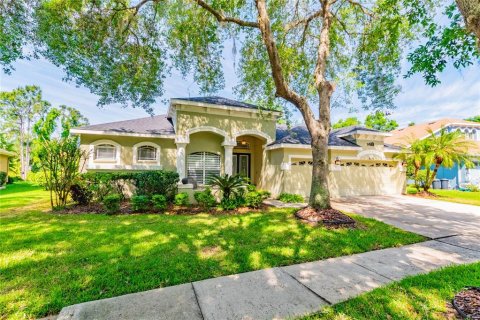 Casa en alquiler en Fish Hawk, Florida, 5 dormitorios, 306.67 m2 № 1840301 - foto 1