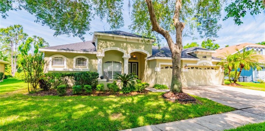 Casa en Fish Hawk, Florida 5 dormitorios, 306.67 m2 № 1840301
