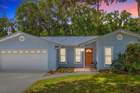 Casa en venta en Odessa, Florida, 4 dormitorios, 209.12 m2 № 2151780 - foto 3