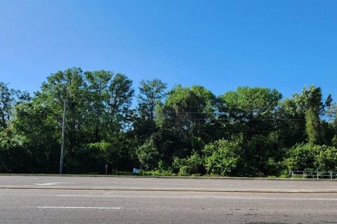 Land in New Port Richey, Florida № 405639 - photo 1