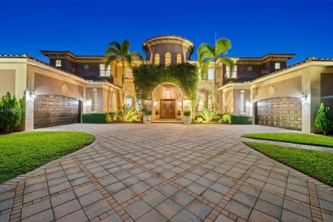 House in Davie, Florida 6 bedrooms, 609.81 sq.m. № 2063644