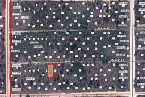Land in Interlachen, Florida № 2223869 - photo 2