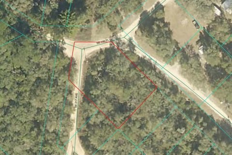 Land in Umatilla, Florida № 2164233