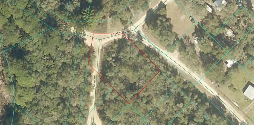 Land in Umatilla, Florida № 2164233