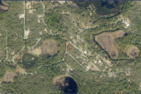Land in Umatilla, Florida № 2164233 - photo 3