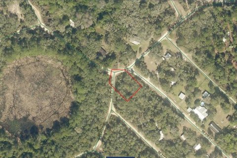 Land in Umatilla, Florida № 2164233 - photo 2