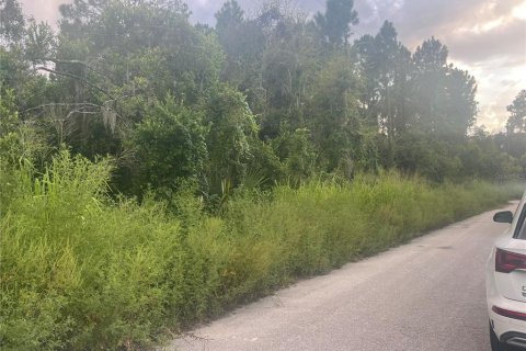 Terreno en venta en Eustis, Florida № 1908234 - foto 1