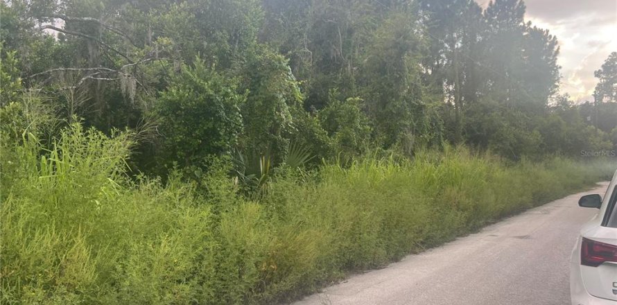 Terrain à Eustis, Floride № 1908234