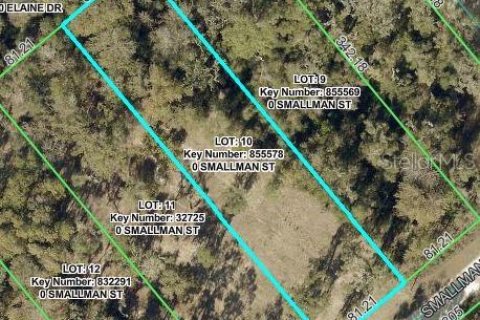 Land in Webster, Florida № 2213336