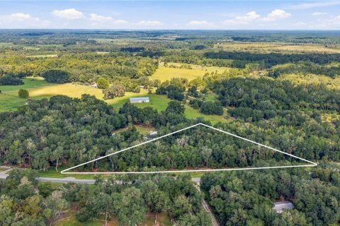 Land in Citra, Florida № 2368900