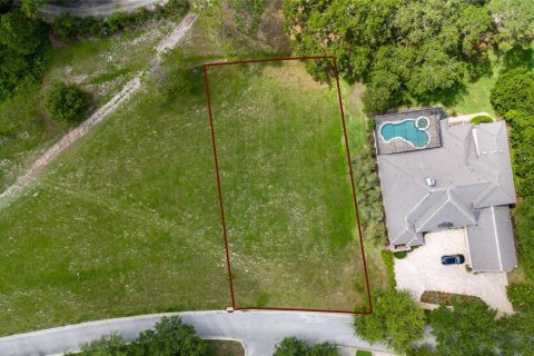 House in Howey-in-the-Hills, Florida 3 bedrooms, 277.22 sq.m. № 1808649 - photo 19
