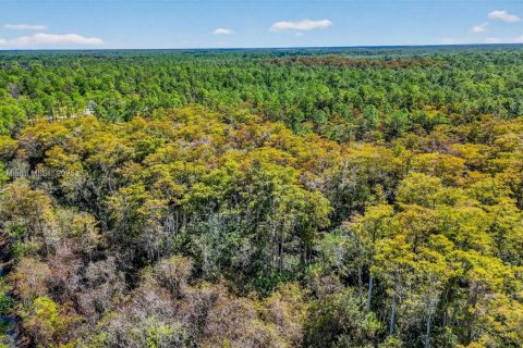 Terreno en venta en Naples, Florida № 1952880 - foto 10