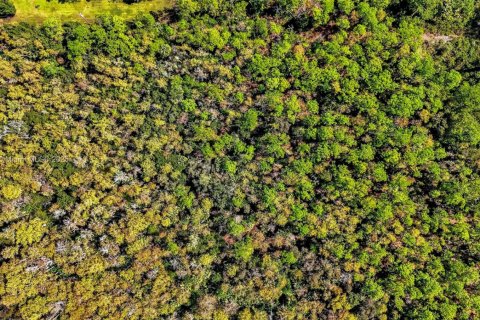 Terreno en venta en Naples, Florida № 1952880 - foto 12