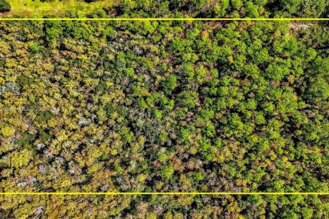 Terreno en venta en Naples, Florida № 1952880 - foto 14