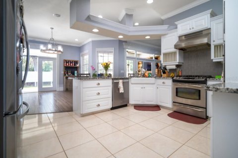 Villa ou maison à vendre à Mulberry, Floride: 4 chambres, 344.95 m2 № 1542828 - photo 23