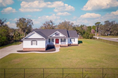 Villa ou maison à vendre à Mulberry, Floride: 4 chambres, 344.95 m2 № 1542828 - photo 15