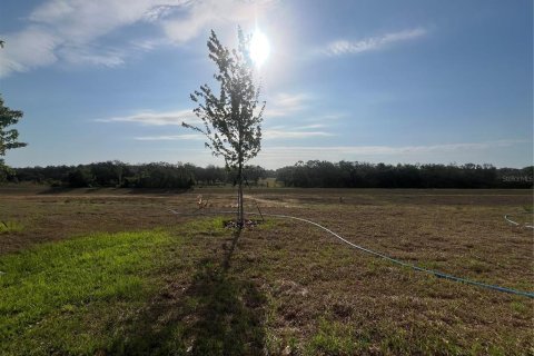 Casa en venta en Minneola, Florida, 3 dormitorios, 172.43 m2 № 1812713 - foto 24