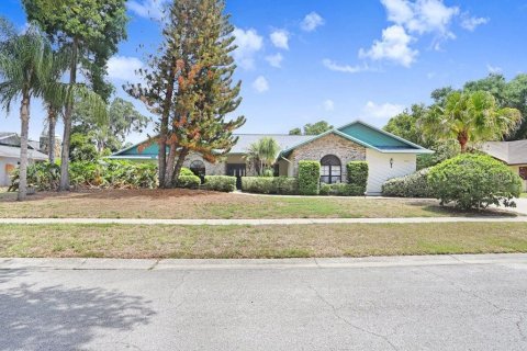 House in Seffner, Florida 4 bedrooms, 261.71 sq.m. № 2223311 - photo 7