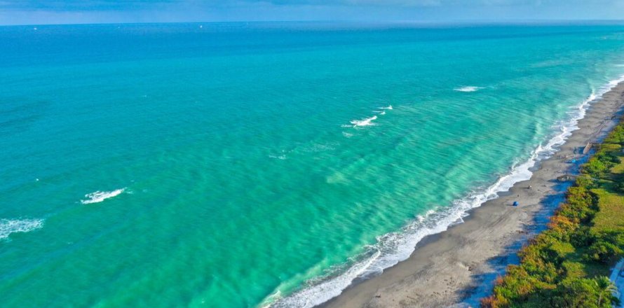 Condo à Jupiter, Floride, 1 chambre № 970301