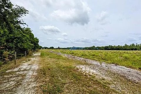 Terreno en venta en Parrish, Florida № 2308316 - foto 9