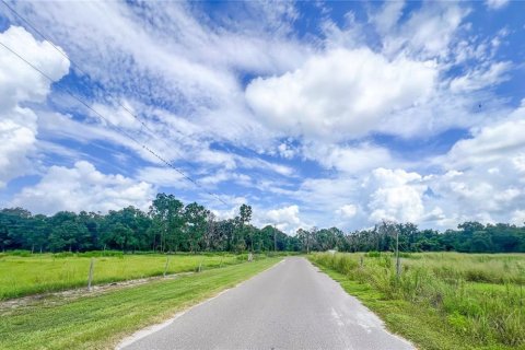 Terreno en venta en Parrish, Florida № 2308316 - foto 11