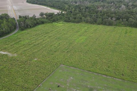 Terreno en venta en Parrish, Florida № 2308316 - foto 3
