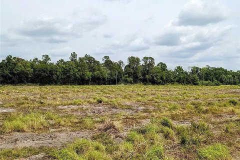 Terreno en venta en Parrish, Florida № 2308316 - foto 5