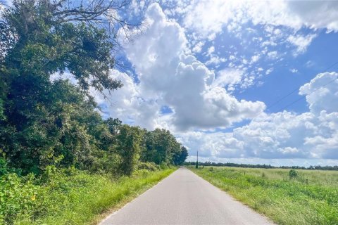 Terreno en venta en Parrish, Florida № 2308316 - foto 12