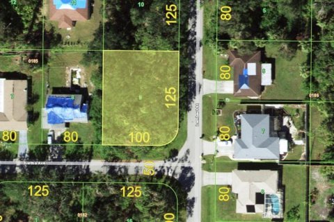 Land in Port Charlotte, Florida № 2162444 - photo 2