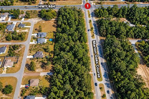Terreno en venta en Ocala, Florida № 2408671 - foto 5
