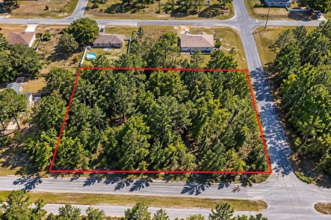 Terreno en venta en Ocala, Florida № 2408671 - foto 3