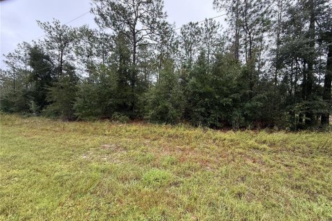 Terreno en Ocala, Florida № 2408671