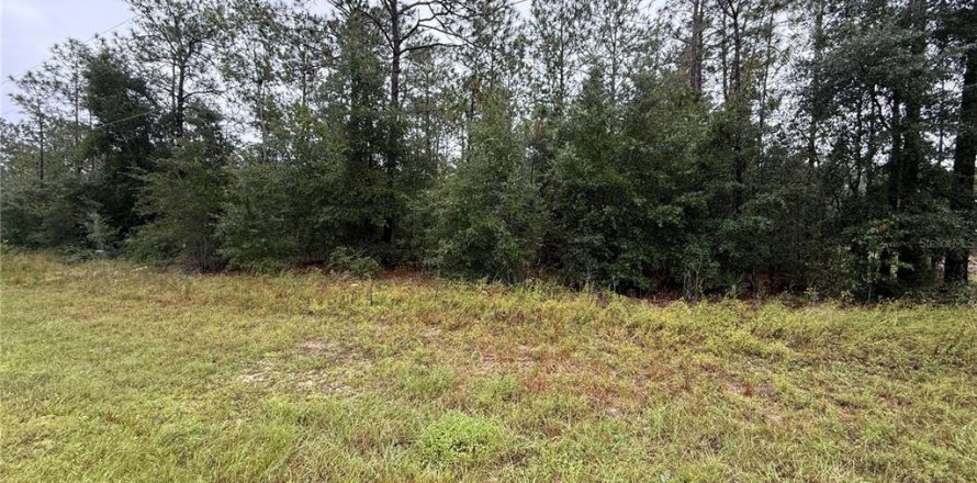 Terreno en Ocala, Florida № 2408671